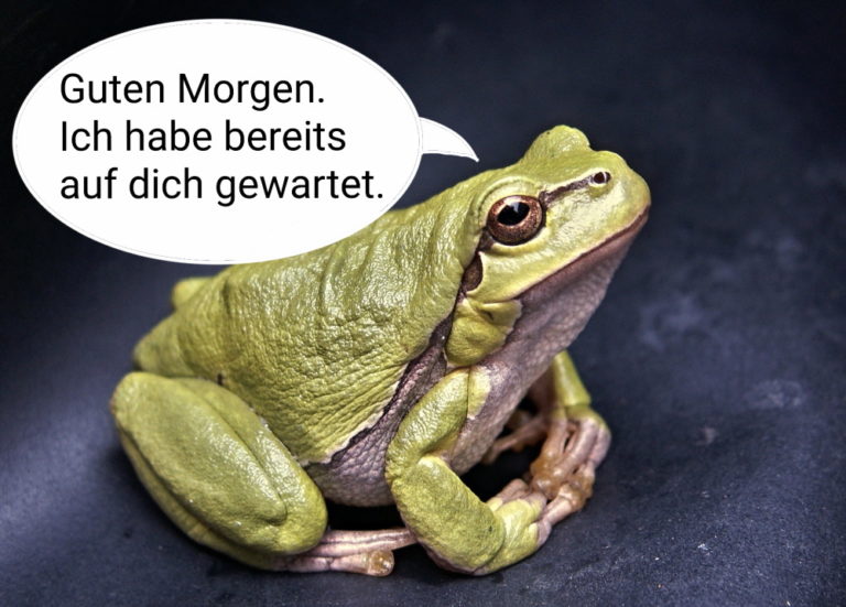 Prokrastination überwinden, Frosch essen